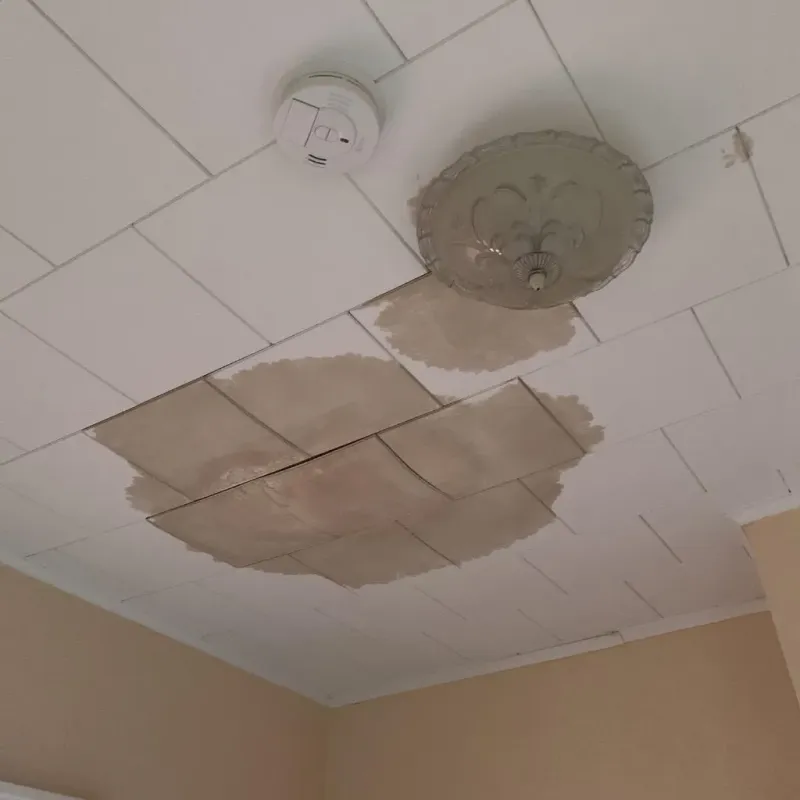 Ceiling Water Damage Repair in Boydton, VA