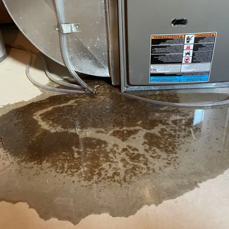Pipe Burst and Leak Restoration in Boydton, VA