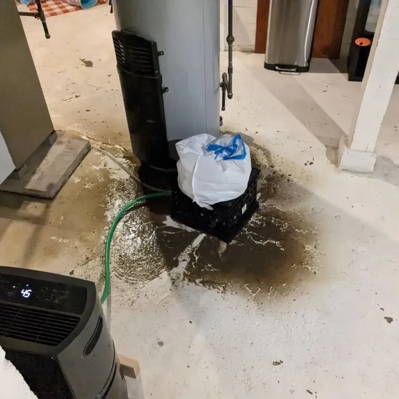 Sewage Backup Cleanup Service in Boydton, VA